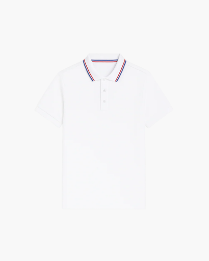 Polo Homme Élégant – Coupe Classique à Col Boutonné