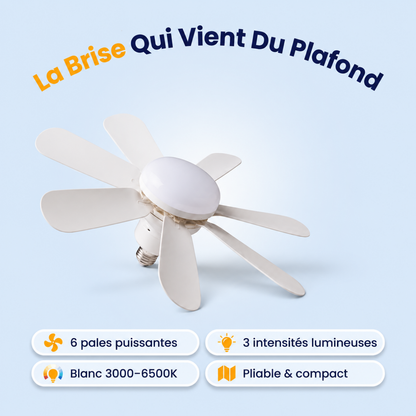Ventilateur de Plafond Moderne – Silencieux & Puissant, Design Élégant