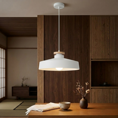 Suspension LED fer plate blanc