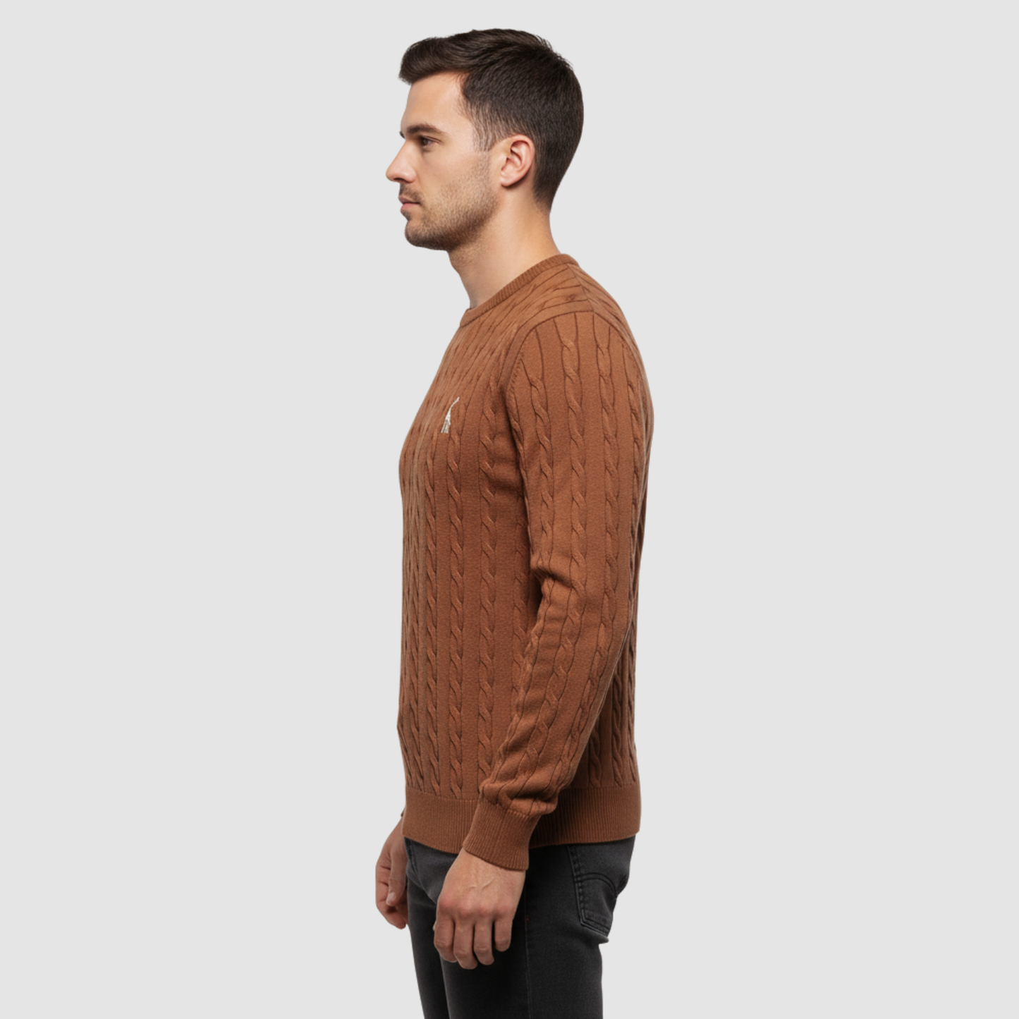Pull Homme Maille Torsadée – Pull Classique Col Rond Style Polo