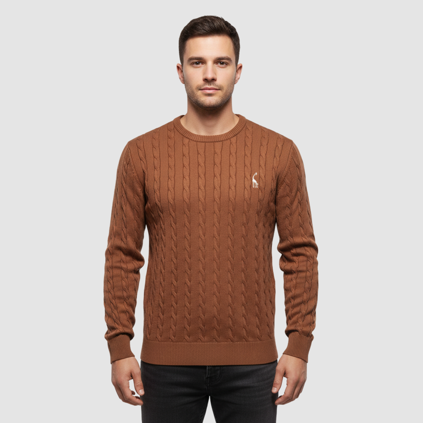 Pull Homme Maille Torsadée – Pull Classique Col Rond Style Polo