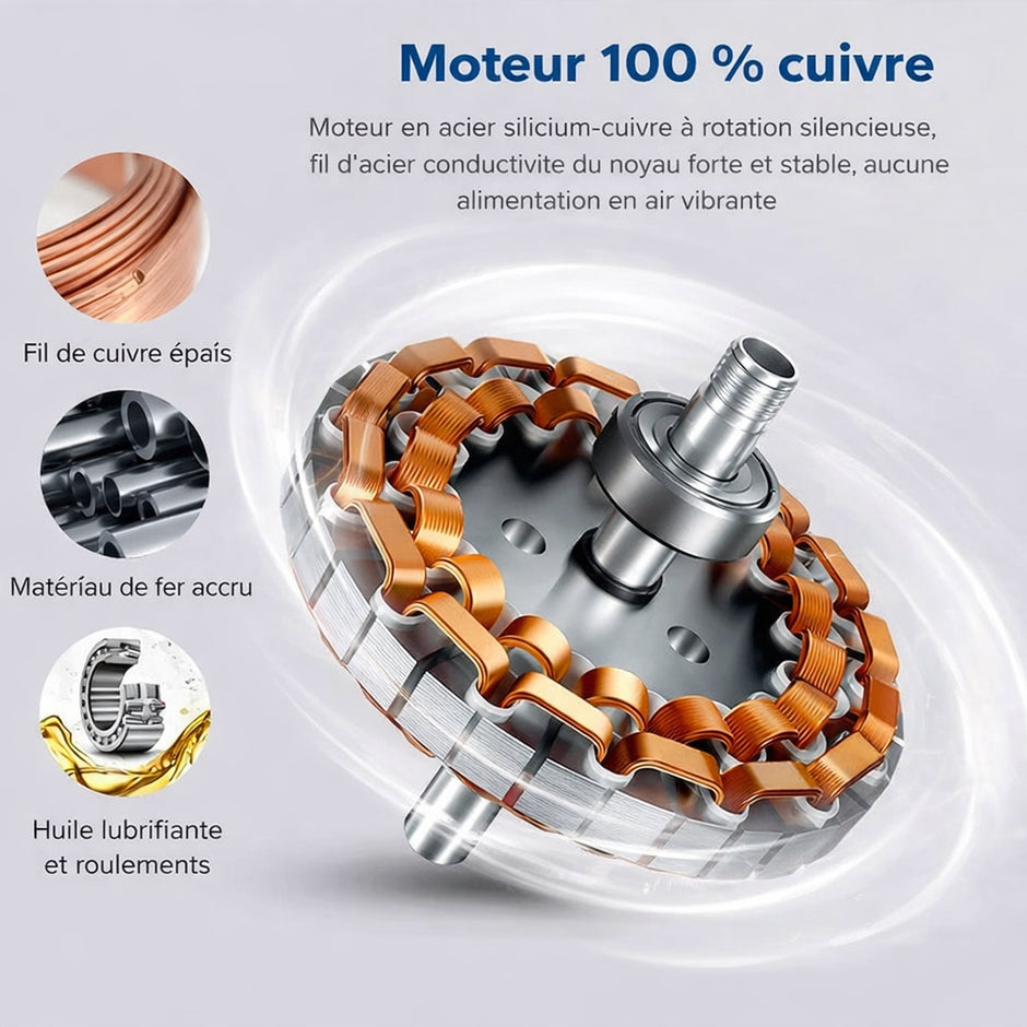 Ventilateur de Plafond Bois Massif & LED